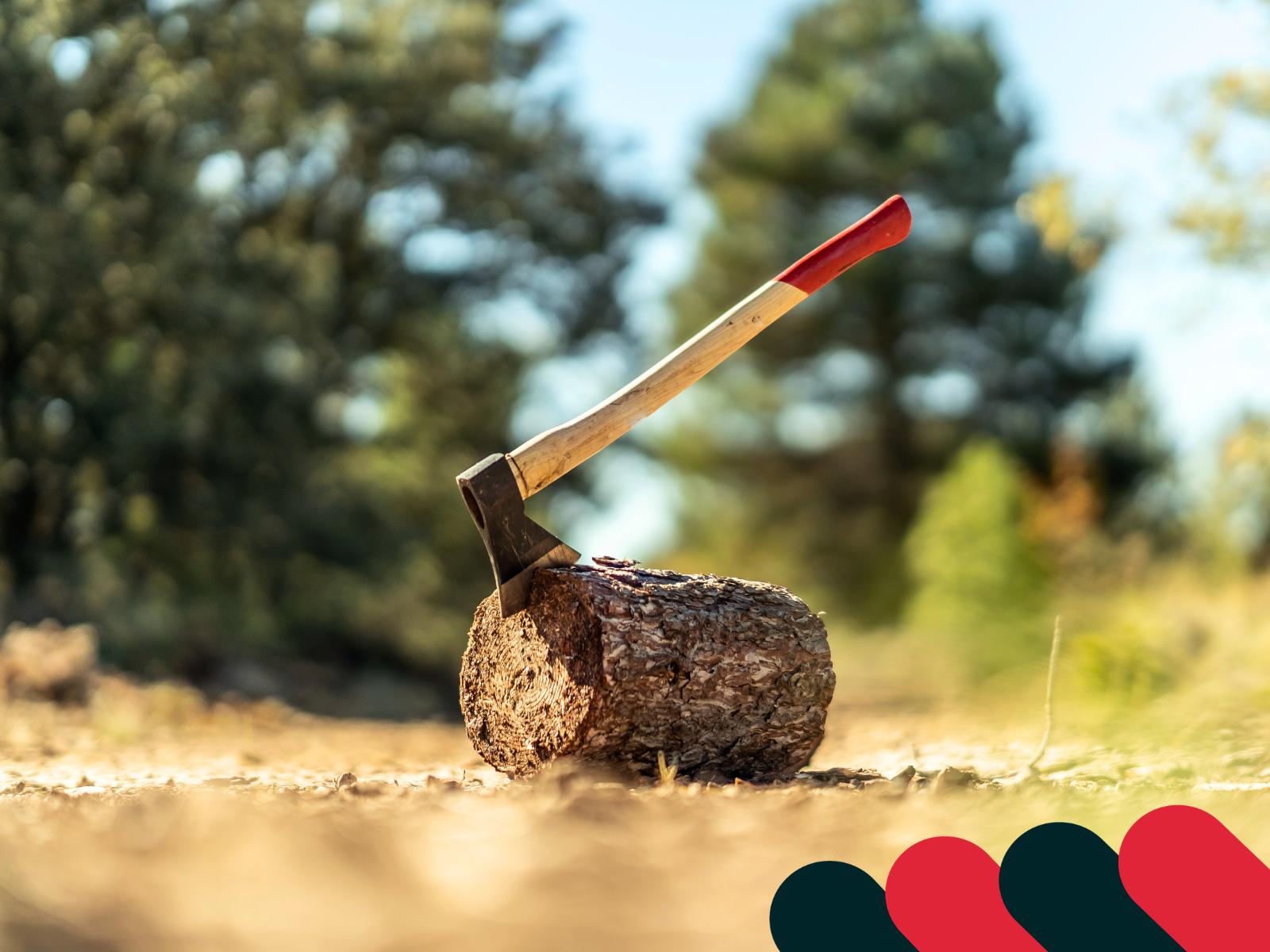 Despicarea lemnului în siguranță - tehnică și unelte potrivite | Kotarbau