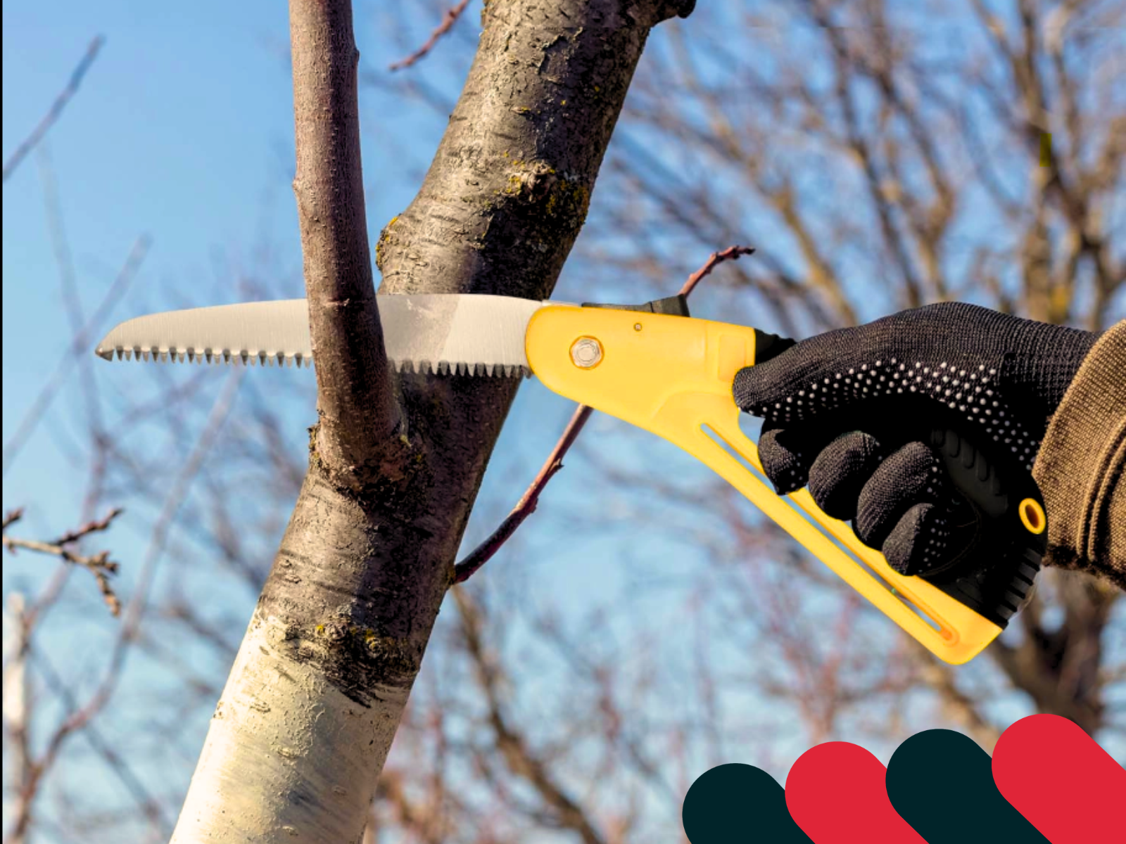 Ascuțirea toporului pas cu pas | Kotarbau