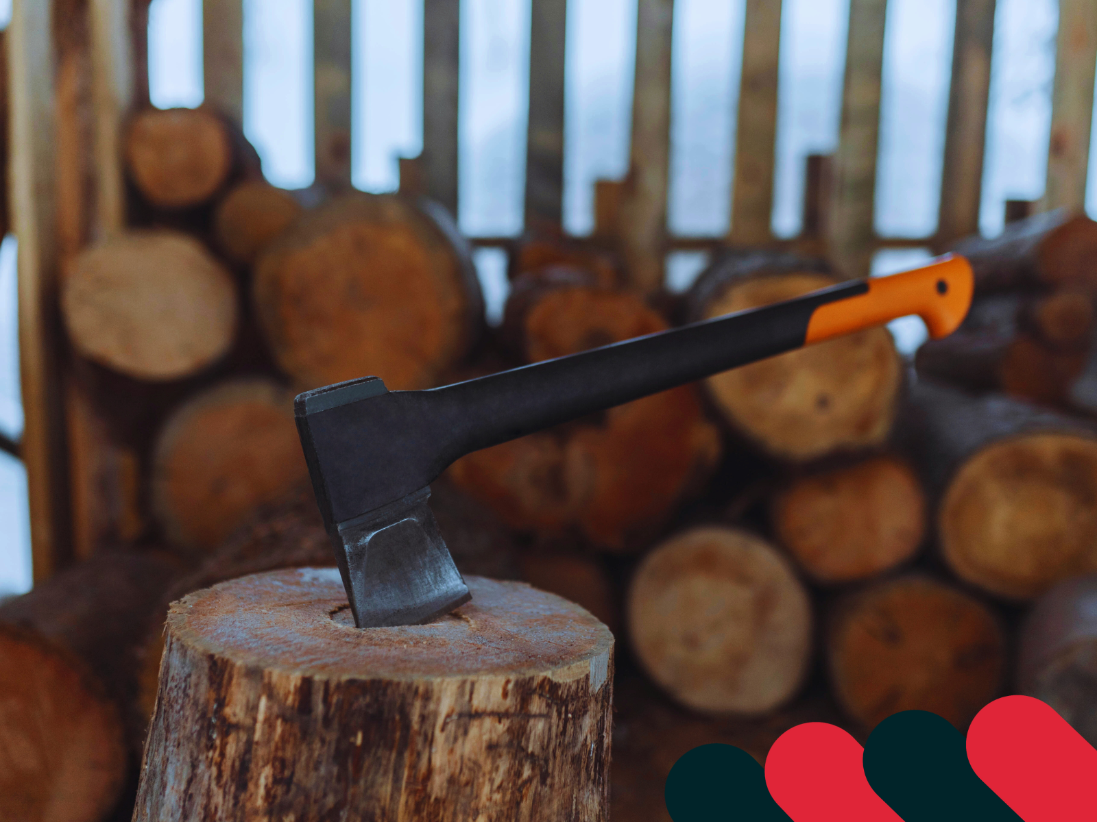 Întreținerea ferăstrăului după lucrul în grădină | Kotarbau