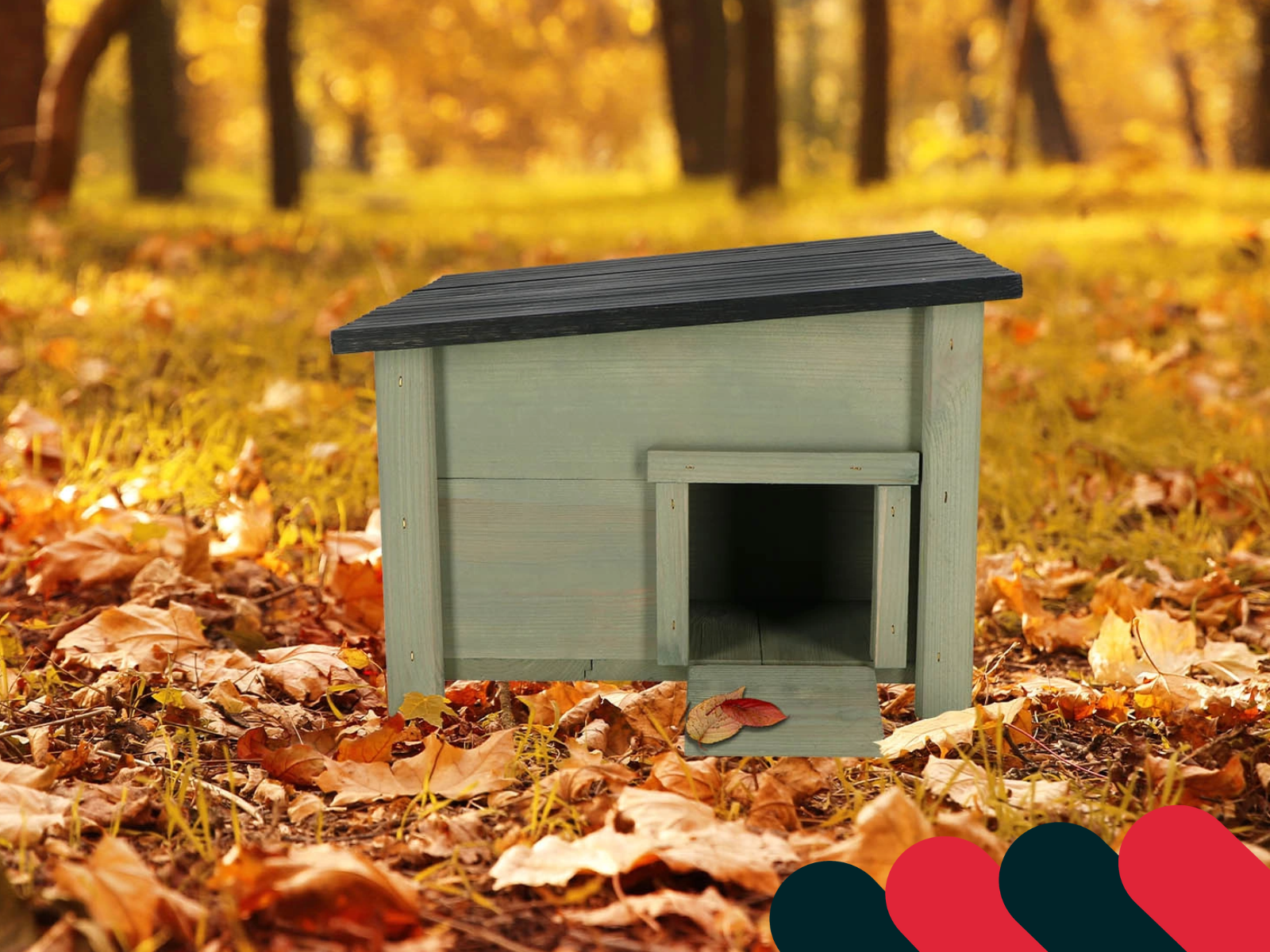 Căsuță pentru păsări în grădina de toamnă | Kotarbau