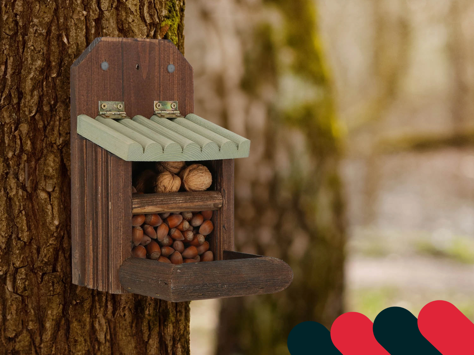 Adăpost pentru arici din frunze și lemn în grădină | Kotarbau