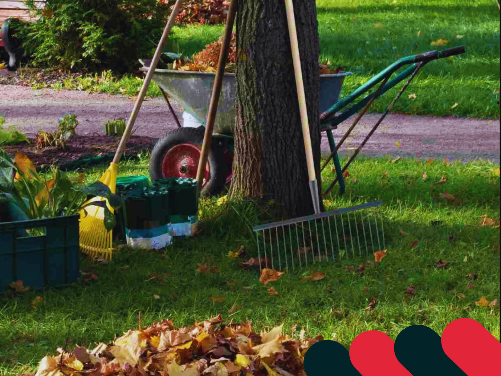 Saci din folie și hârtie pentru frunze în grădină | Kotarbau