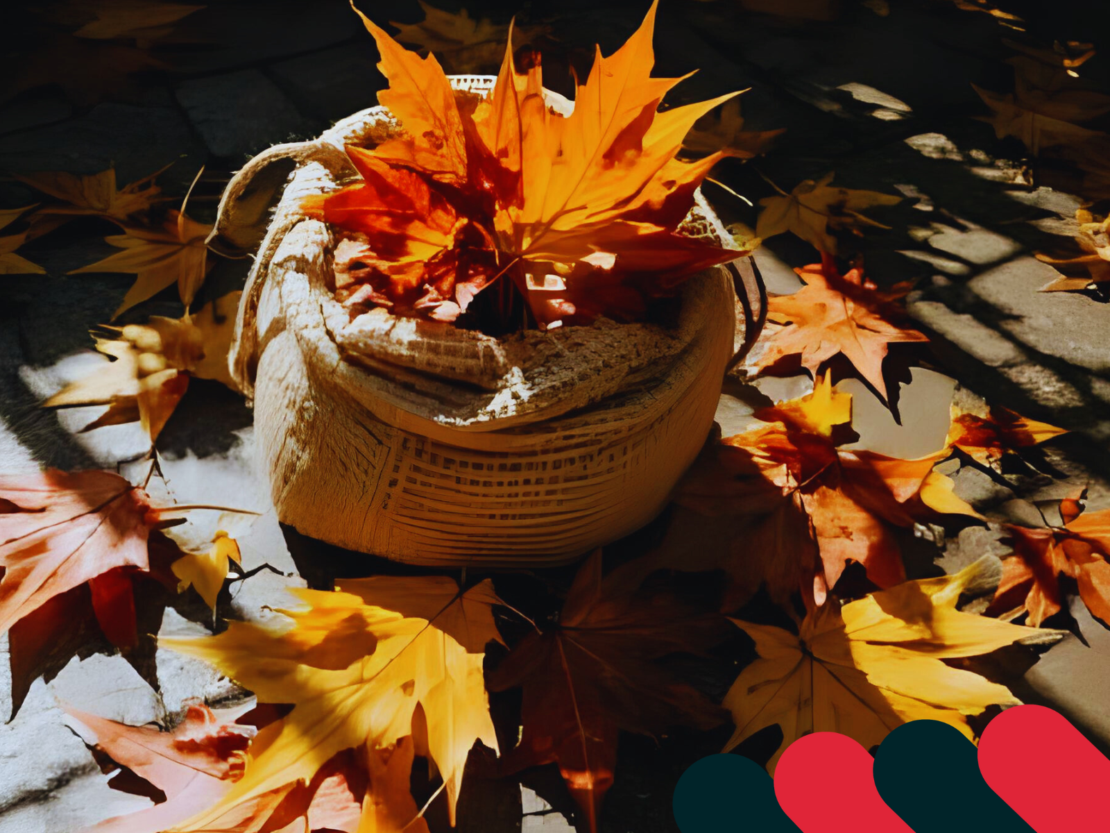 Saci rezistenți și încăpători din material pentru curățenia de toamnă | Kotarbau