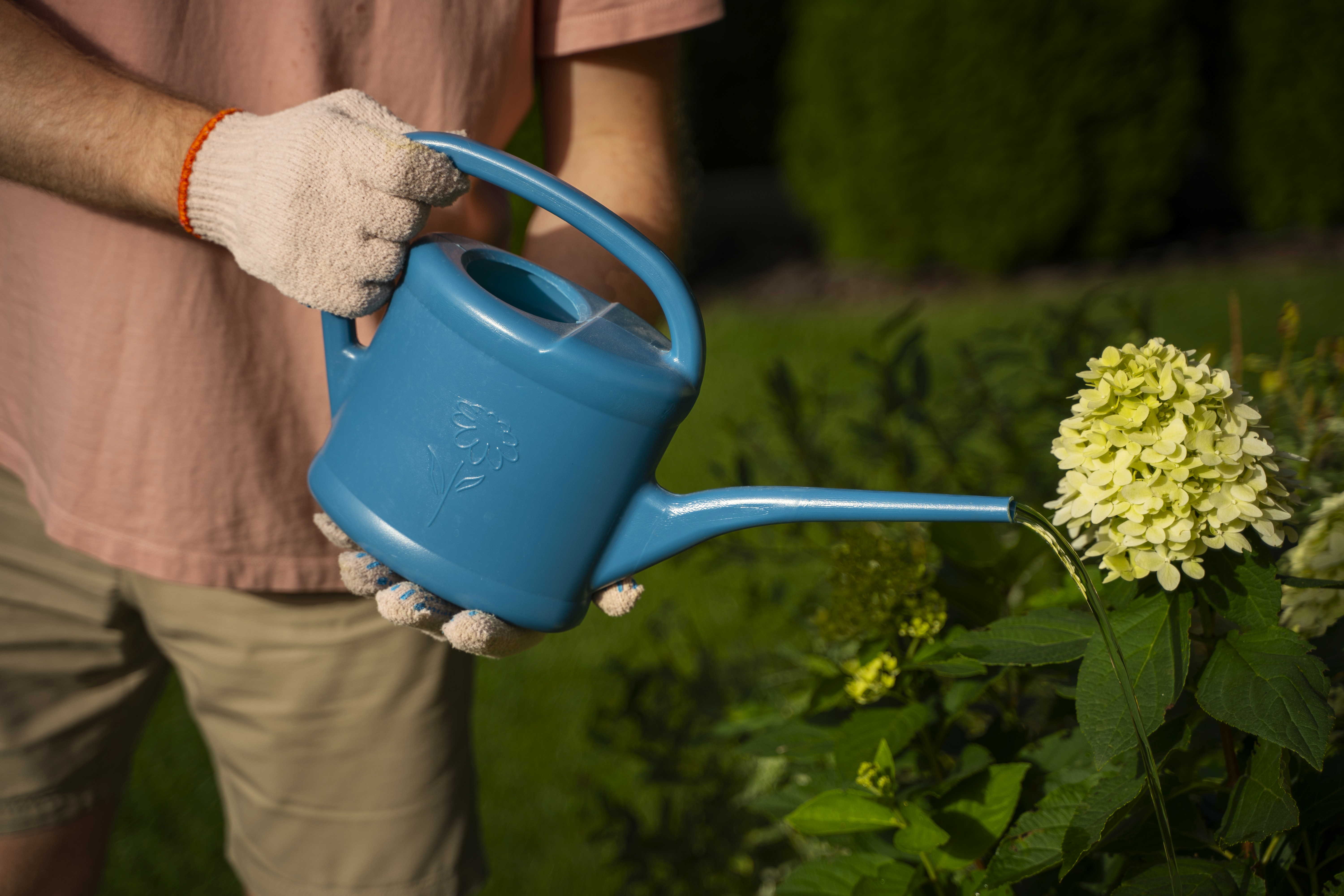Cum să ai grijă de plante înainte de a pleca în vacanță | Kotarbau