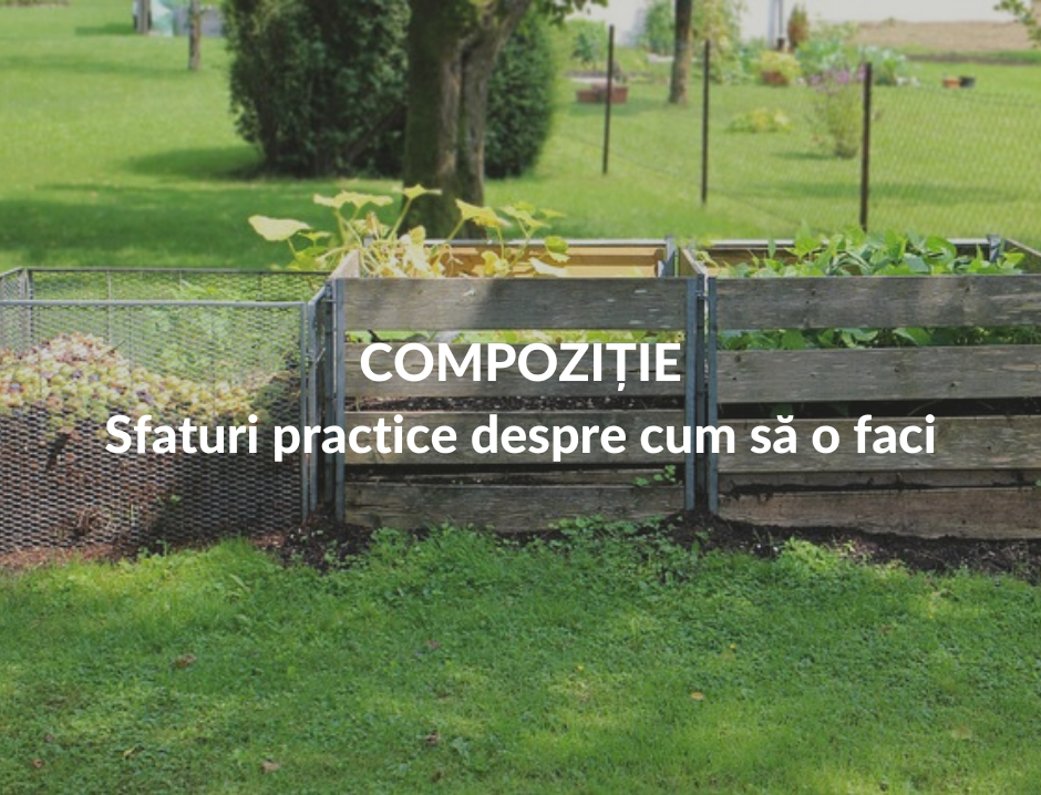 Cum să faci un compostor - sfaturi practice