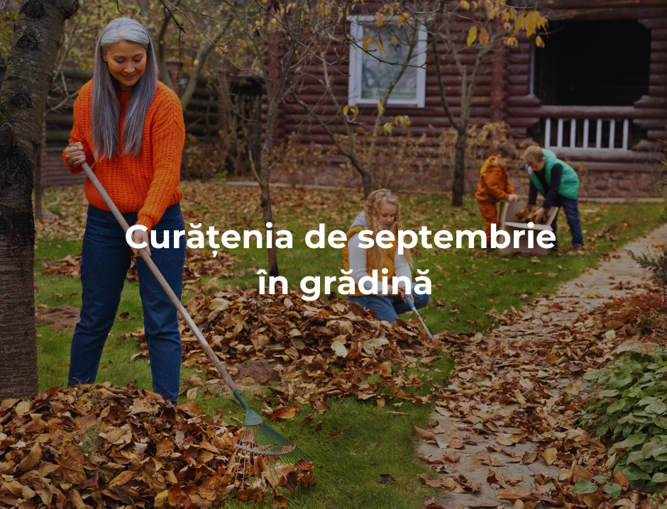 Curățenia de septembrie în grădină