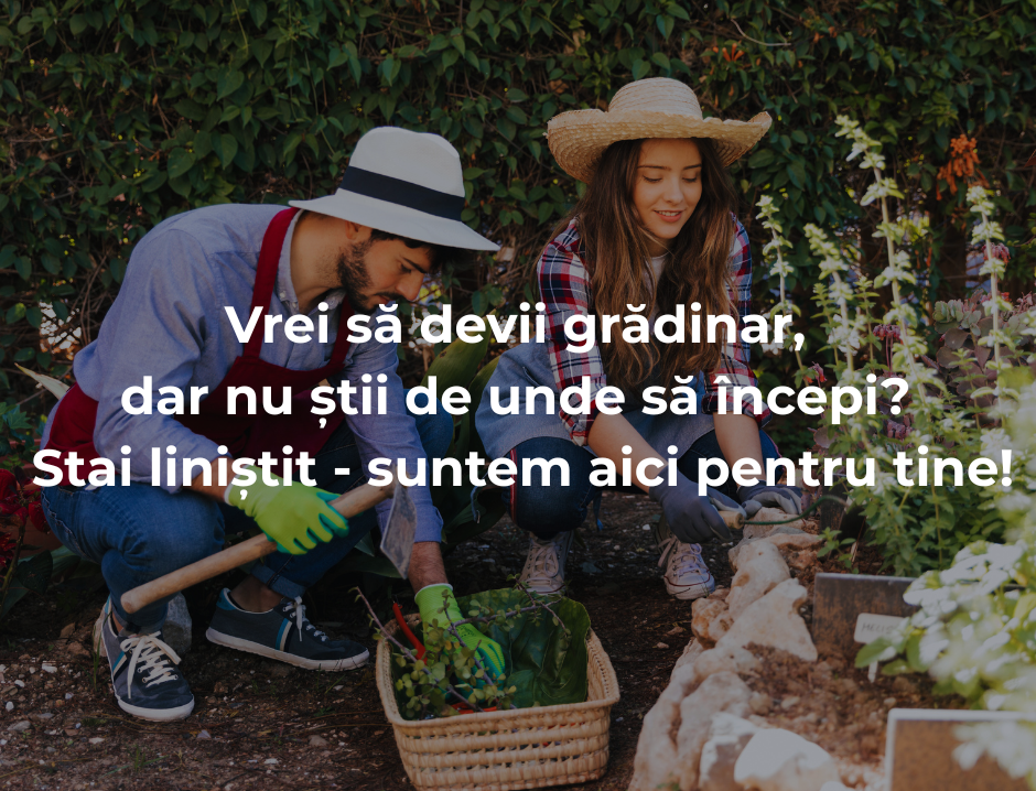 Vrei să devii grădinar, dar nu știi de unde să începi? Stai liniștit – suntem aici pentru tine!