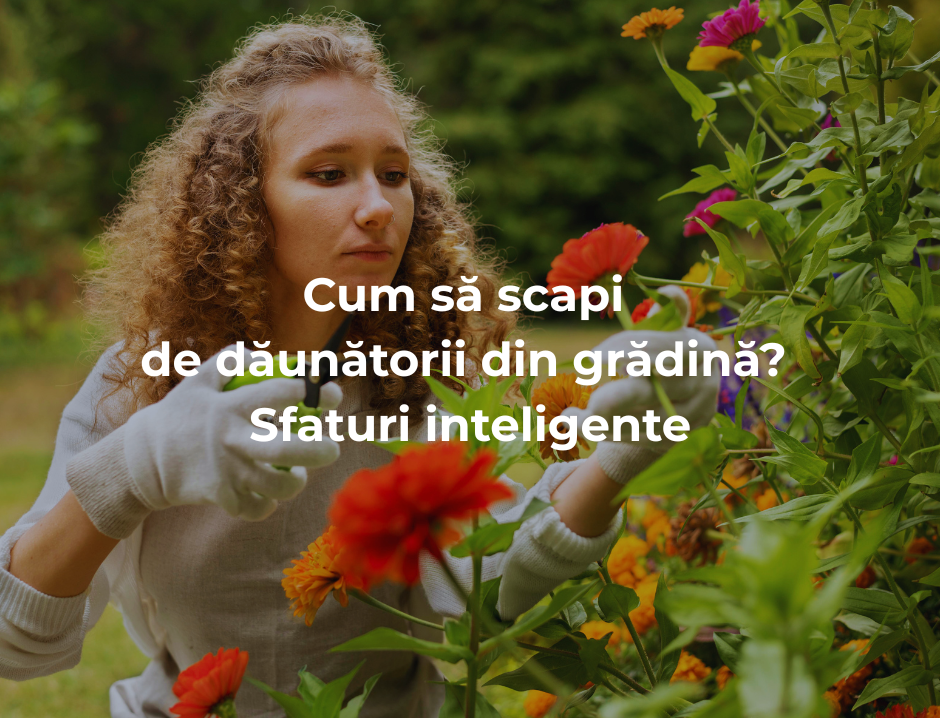 Cum să scapi de dăunătorii din grădină? Sfaturi inteligente