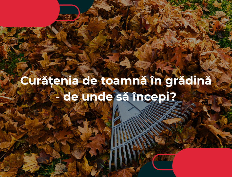 Curățenia de toamnă în grădină - de unde să începi?