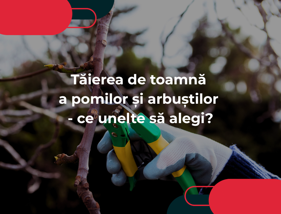 Tăierea de toamnă a pomilor și arbuștilor - ce unelte să alegi?
