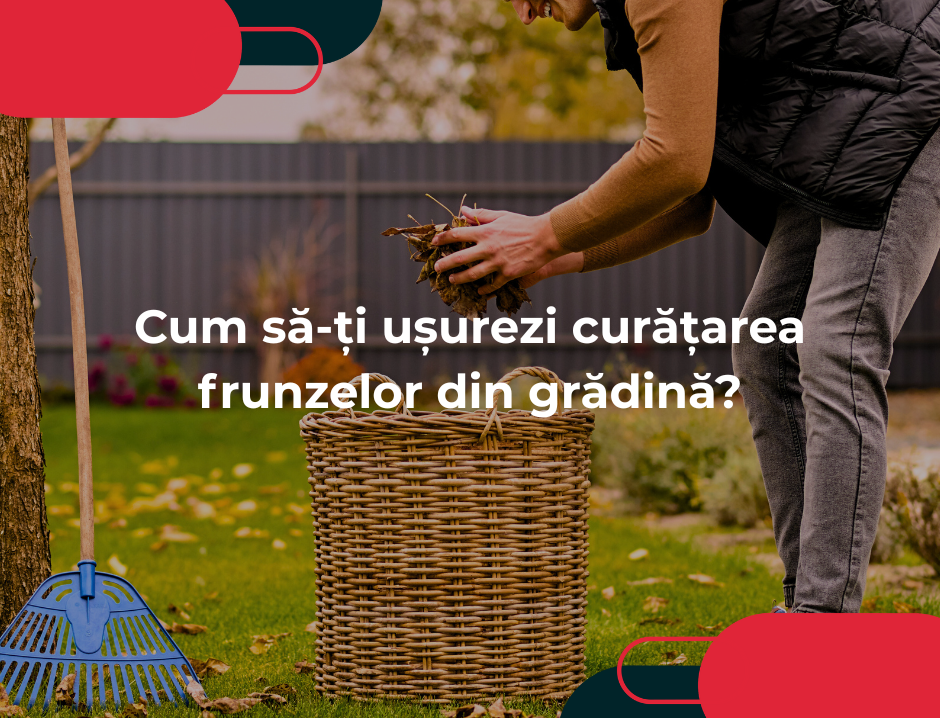 Cum să-ți ușurezi curățarea frunzelor din grădină?