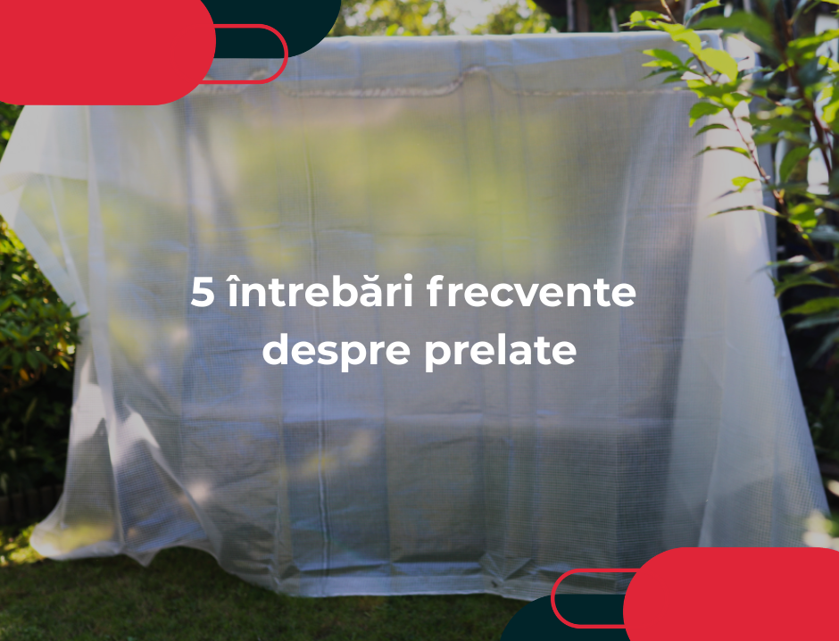 5 întrebări frecvente despre prelate