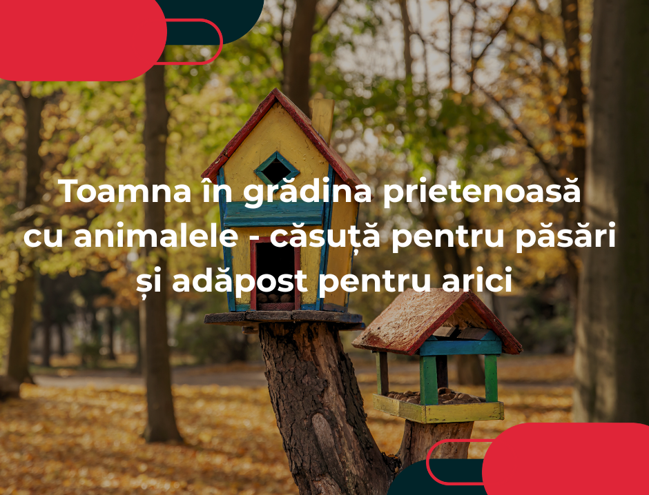 Toamna în grădina prietenoasă cu animalele - căsuță pentru păsări și adăpost pentru arici