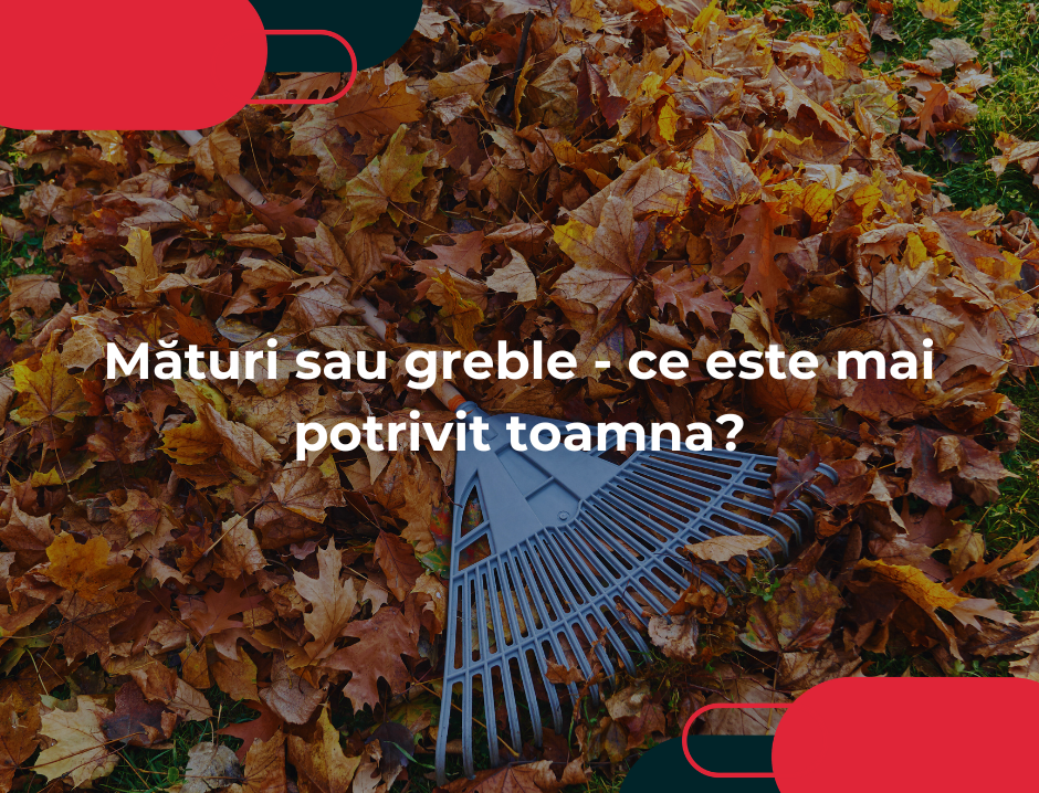 Mături sau greble - ce este mai potrivit toamna?