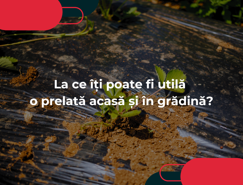La ce îți poate fi utilă o prelată acasă și în grădină?