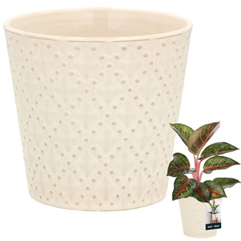 Ghiveci ceramic trapezoidal lucios de flori 12 cm - Culoare crem