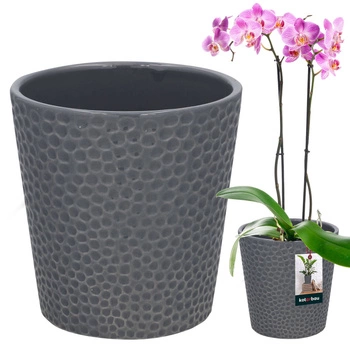 Ghiveci de flori din ceramică cenușă plante orhidee 9,5 cm