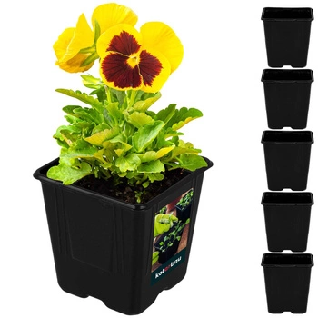 Ghivece de semințe pătrate de 11 cm set de 5 buc.