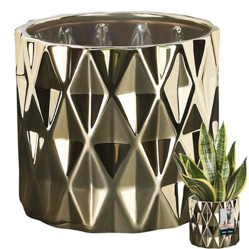 Ghiveci de flori cilindru ceramic de protecție aur ⌀12 cm