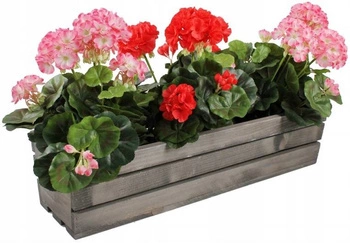 Cutie de flori de balcon din lemn pentru flori de plante aromatice gri 60 cm