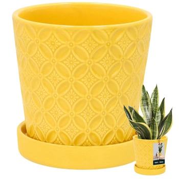 Ghiveci rotund muștar cu podmicukou ⌀ 13 cm