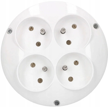 Hoț 4 prize de rețea cu împământare