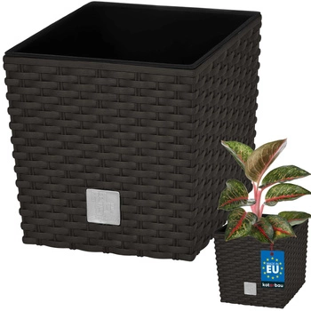 Ghiveci de grădină din rattan cu inserție umbra 20x20 cm