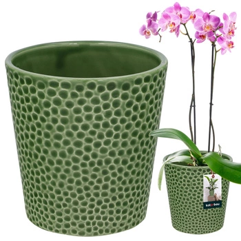 Ghiveci de flori din ceramică verde plante orhidee 9,5 cm