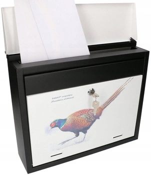 Cutie poștală pentru ziare poștale decorată cu grafică