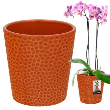 Ghiveci de flori din ceramică portocaliu plante orhidee 9,5 cm
