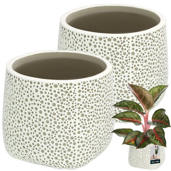 Ghiveci decorativ burtocu ⌀ 12,5 cm 2 kcu