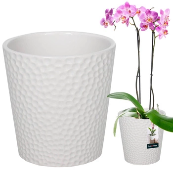 Ghiveci de flori din ceramică albă plante orhidee 12 cm