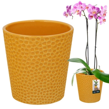 Ghiveci de flori din ceramică muștar plante orhidee 9,5 cm