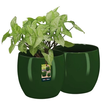 Ghiveci de flori din ceramică smălțuită plante verzi 15 cm set de 2 buc.