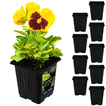 Ghivece de semințe pătrate de 9 cm set de 9 buc.