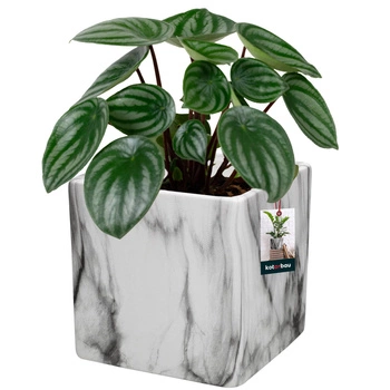 Vas de flori din marmură ceramică pătrat 12x12 cm