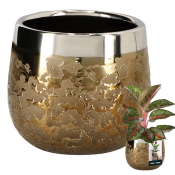 Ghiveci ceramic rotund auriu efect lucutra ⌀ 10 cm