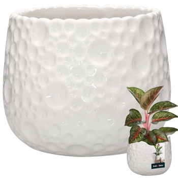 Ghiveci ceramic rotund pentru plante alb 15 cm