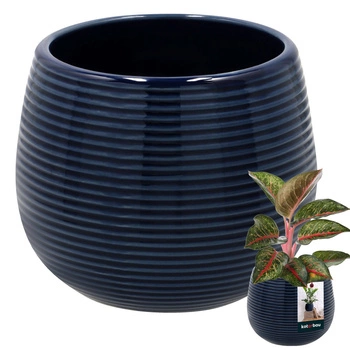 Ghiveci ceramic rotund rîsfuit pentru flori 12 cm - Cobalt