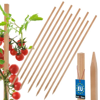Tăruși de grădină din lemn pentru roșii legume 80 cm set de 10 buc.