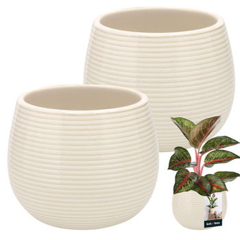 Ghiveci ceramic rotund cu caneluri de flori 12 cm set 2 buc - Culoare crem