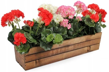 Cutie de flori și ierburi de balcon din lemn maro 600 mm