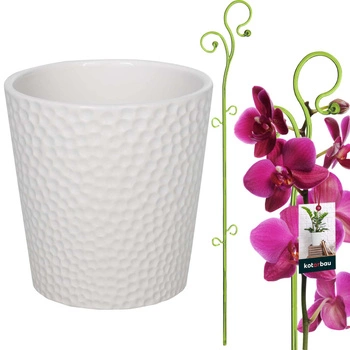 Ghiveci ceramic alb 11 cm