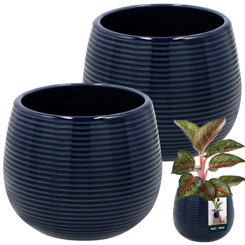 Ghiveci de flori rotund cu caneluri din ceramică 12 cm set de 2 buc.