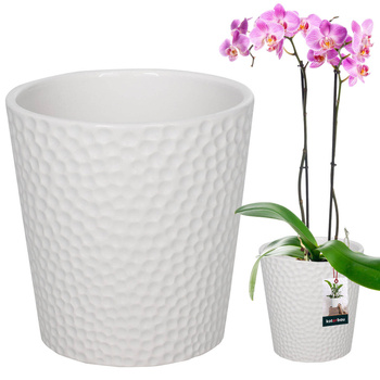 ghiveci de flori din ceramică albă plante orhidee 9,5 cm